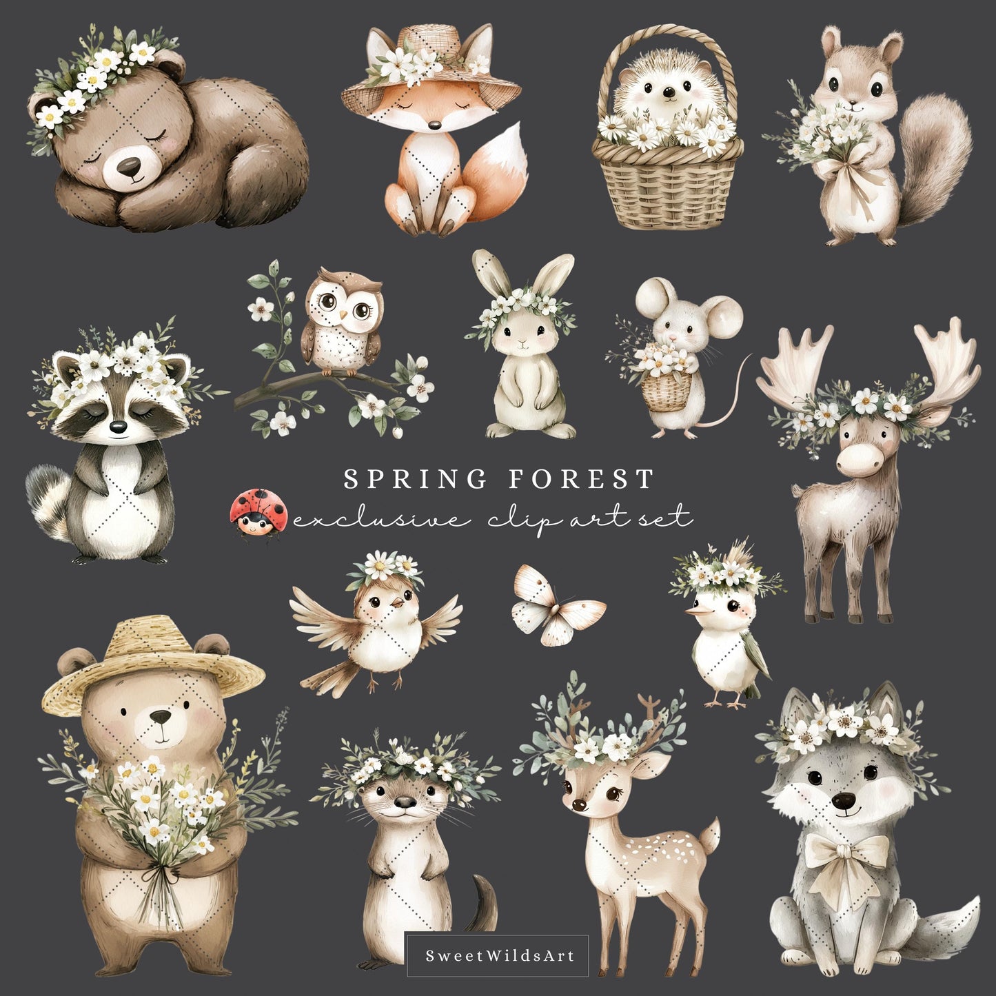 Spring Forest - Cute Woodland, Baby Animal Clipart, Baby Shower, Nursery | 40 PNG