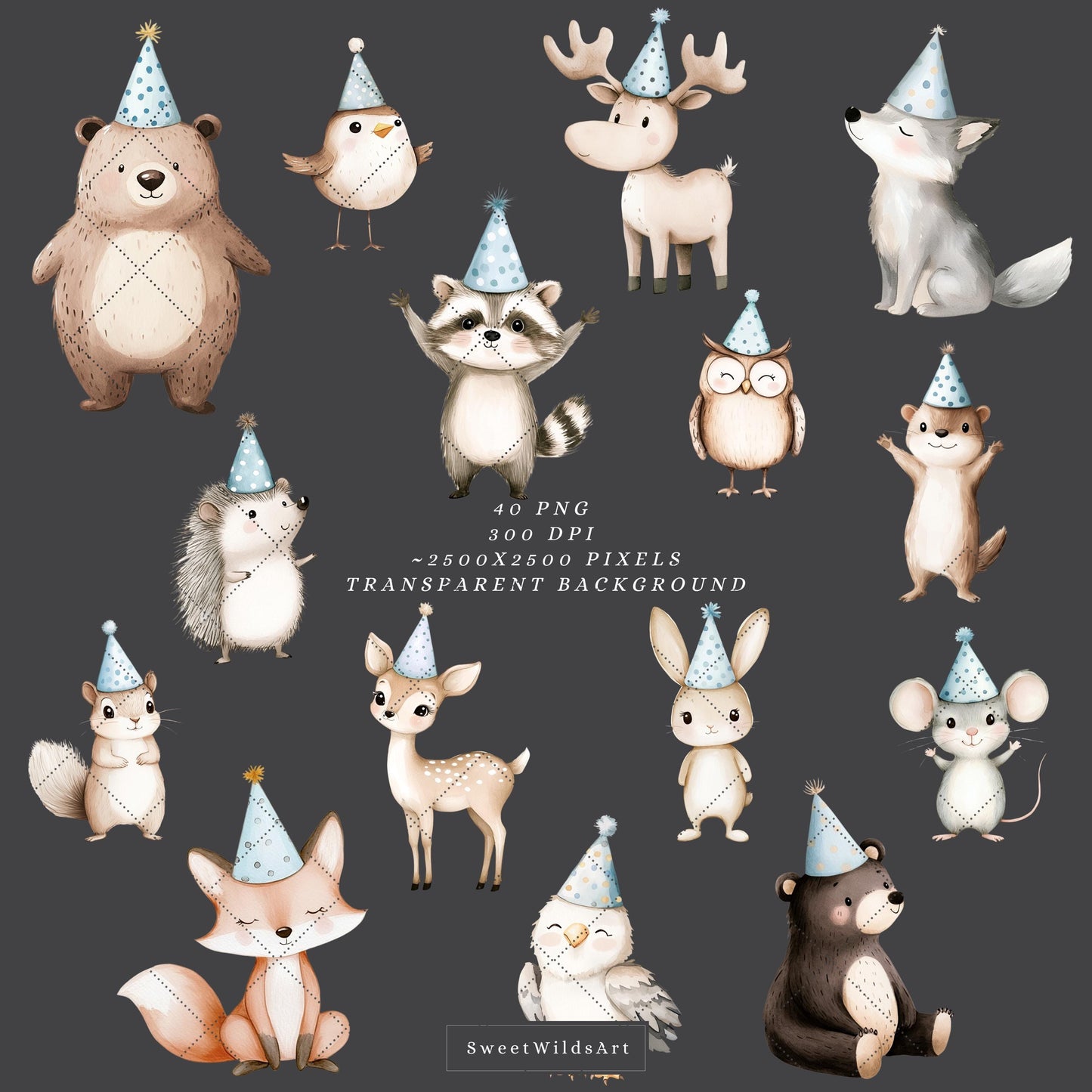 Birthday Friends - Cute Woodland, Baby Animal Clipart, Party, Boy Birthday | 40 PNG
