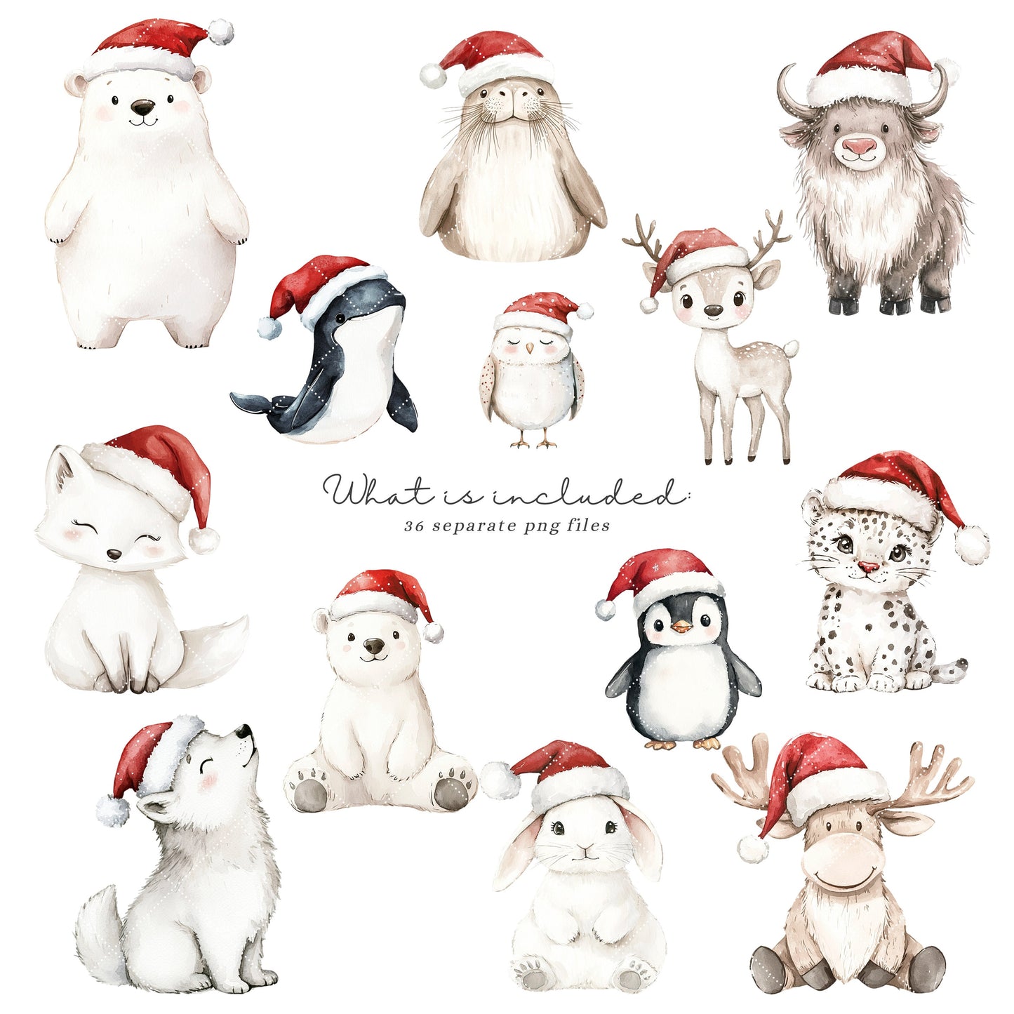 Polar Friends - Cute Arctic Animals, Christmas Babies Clipart, Winter | 36 PNG