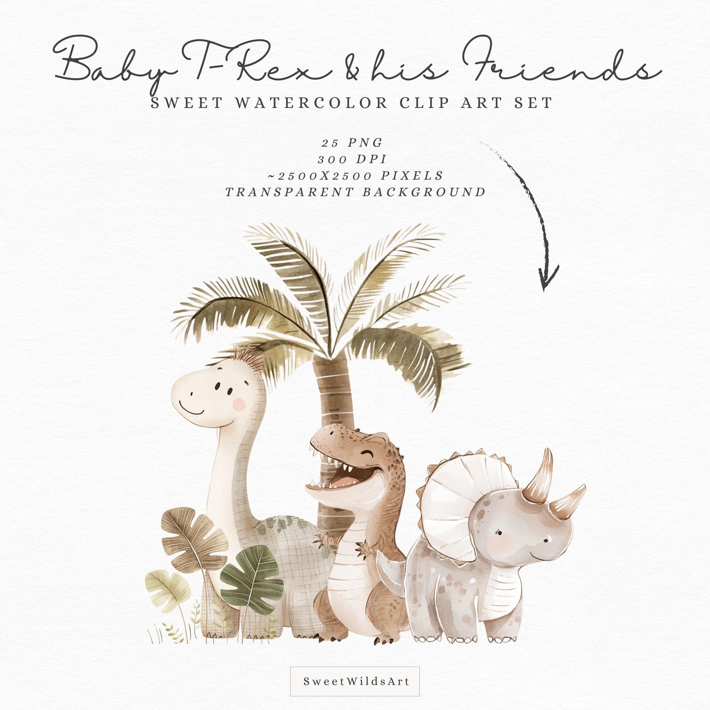 Baby T-Rex and his Friends - Cute Dinosaur Clipart, Dino Birthday, Nursery Art | 25 PNG