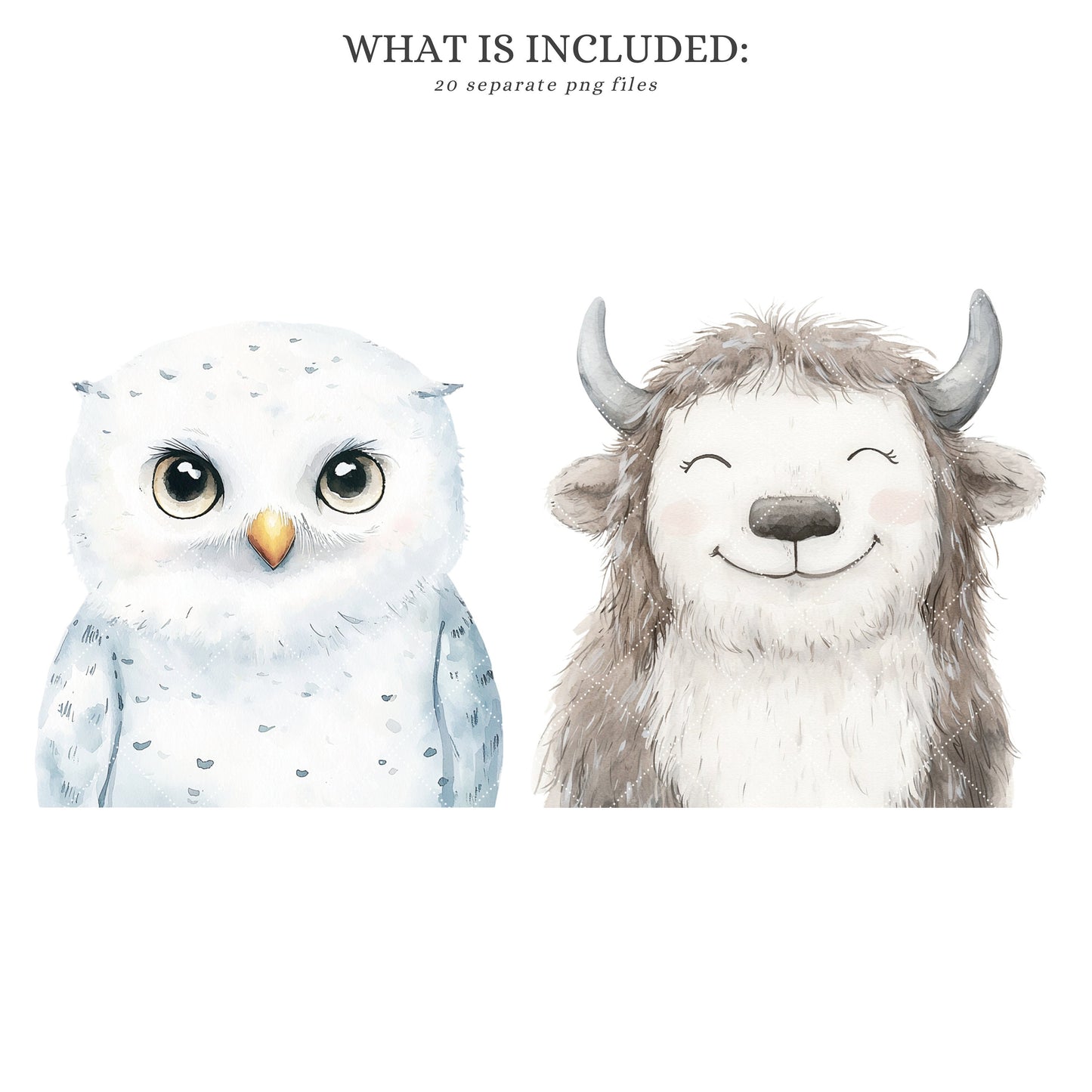 Arctic Portraits - Cute Animals Clipart, Winter Baby Shower, Polar Nursery | 20 PNG