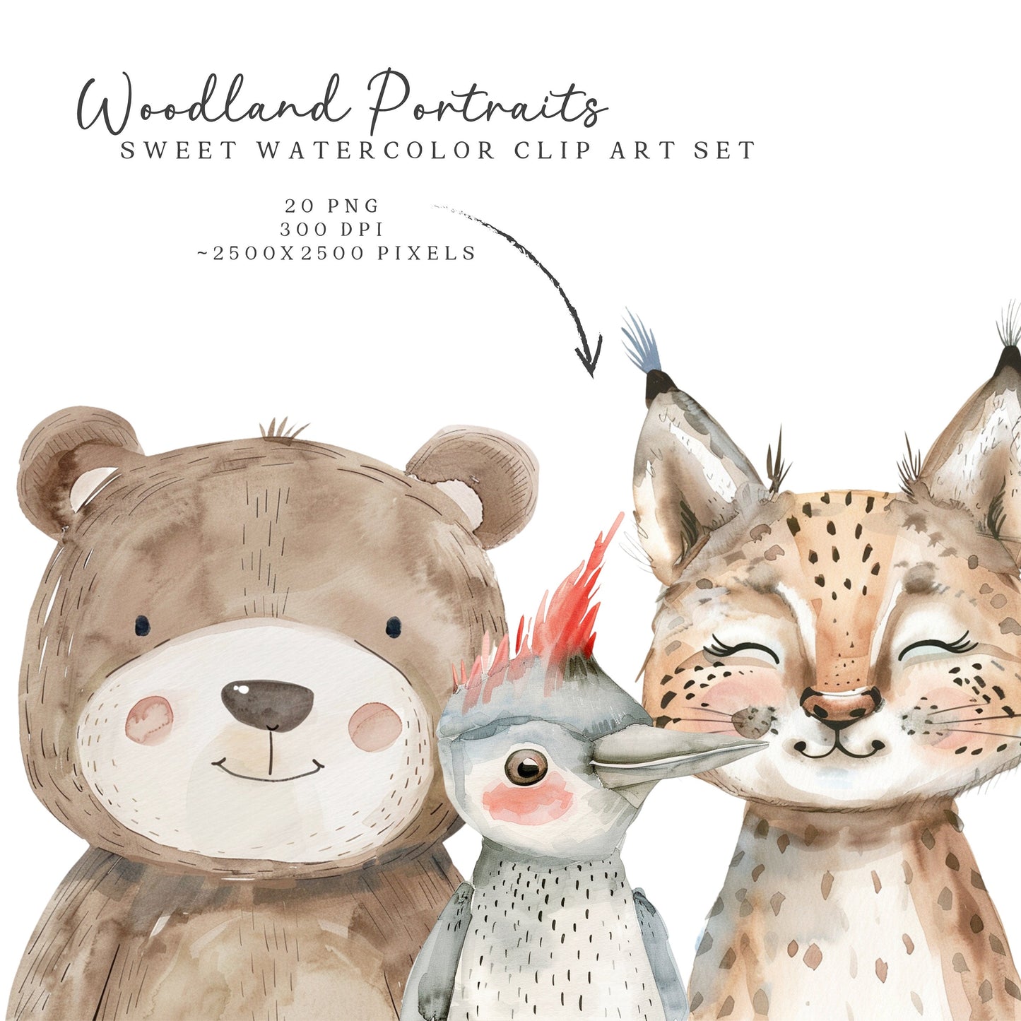Woodland Portraits - Cute Animals Clipart, Baby Shower, Nursery, Boho Forest | 20 PNG