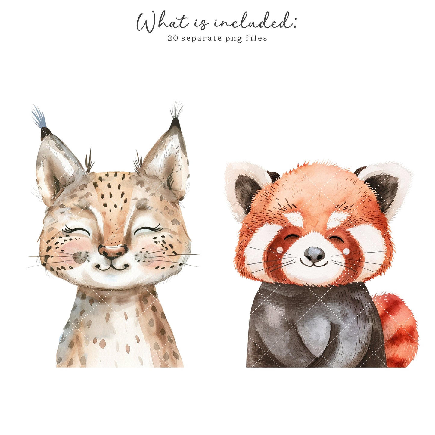 Woodland Portraits - Cute Animals Clipart, Baby Shower, Nursery, Boho Forest | 20 PNG