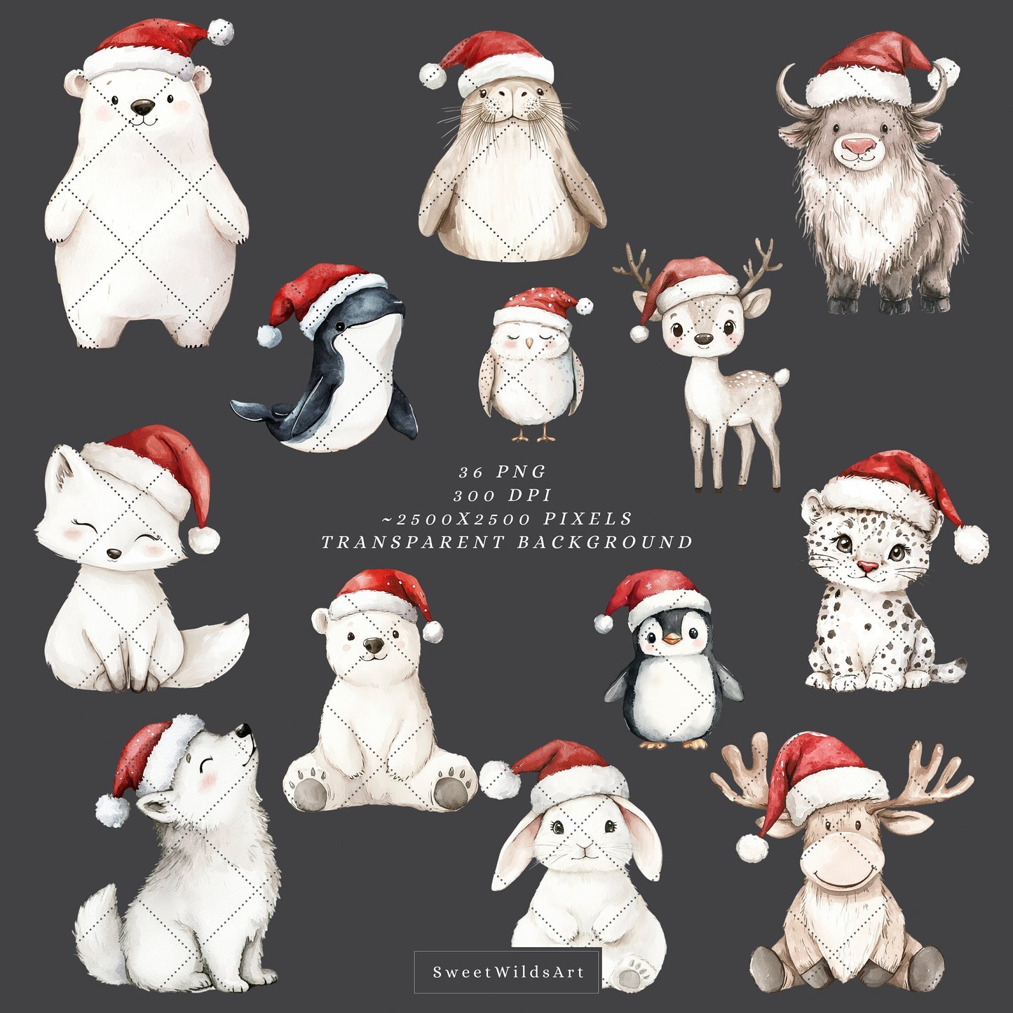 Polar Friends - Cute Arctic Animals, Christmas Babies Clipart, Winter | 36 PNG