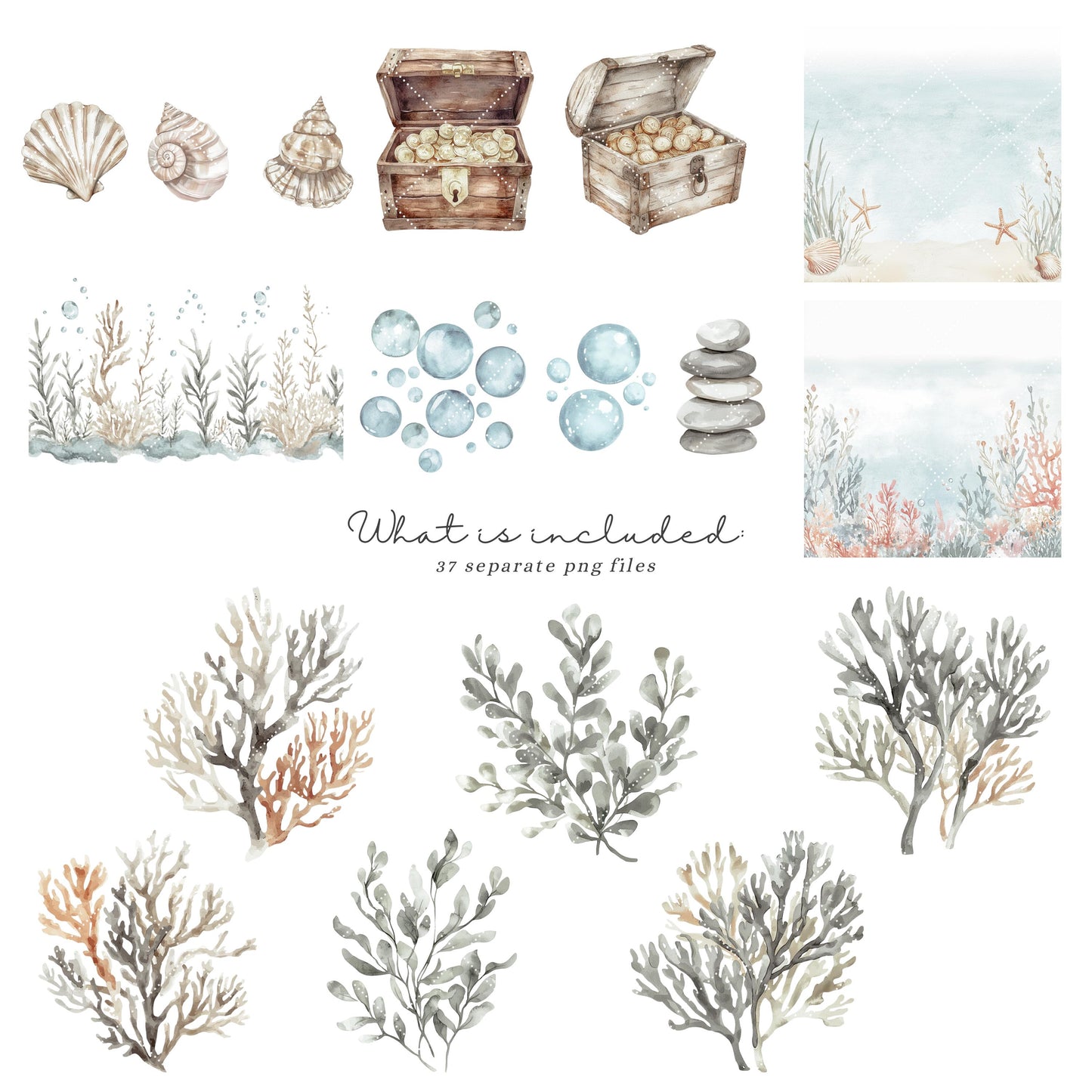 Sea Friends - Cute Sea Animals Clipart, Ocean, Sealife, Underwater, Nursery | 37 PNG