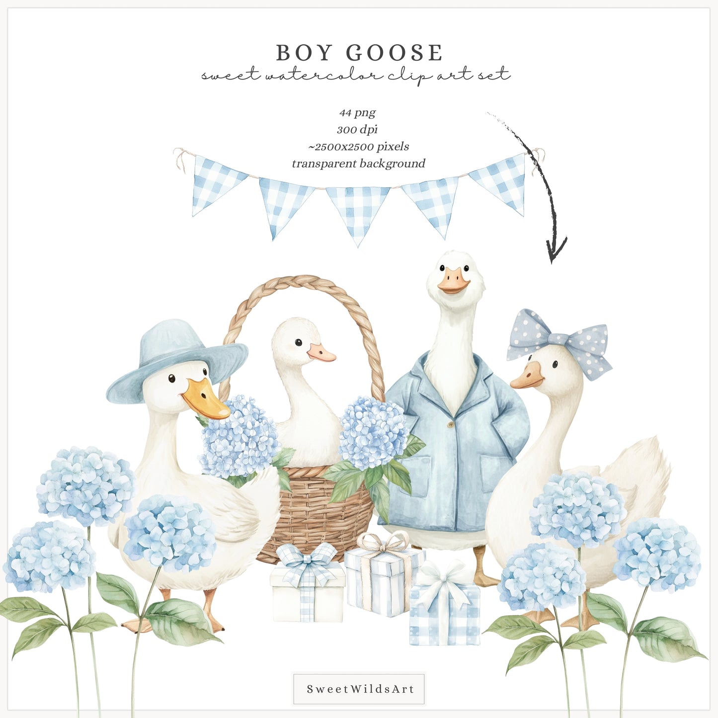 Boy Goose - Clipart, Blue Silly Goose, Coquette Nursery, Birthday | 44 PNG