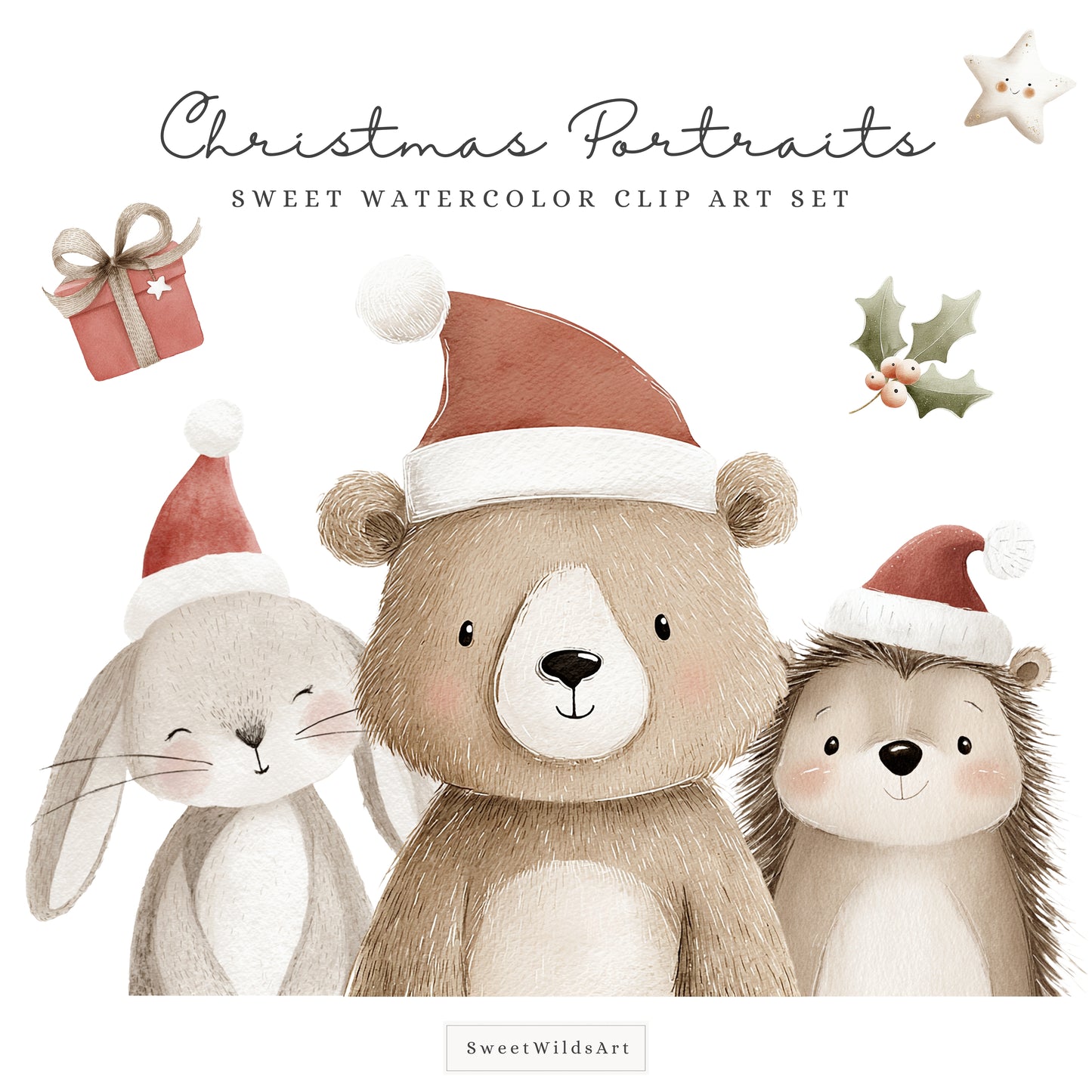 Christmas Portraits - Cute Animals, Baby Shower, Winter Nursery | 26 PNG