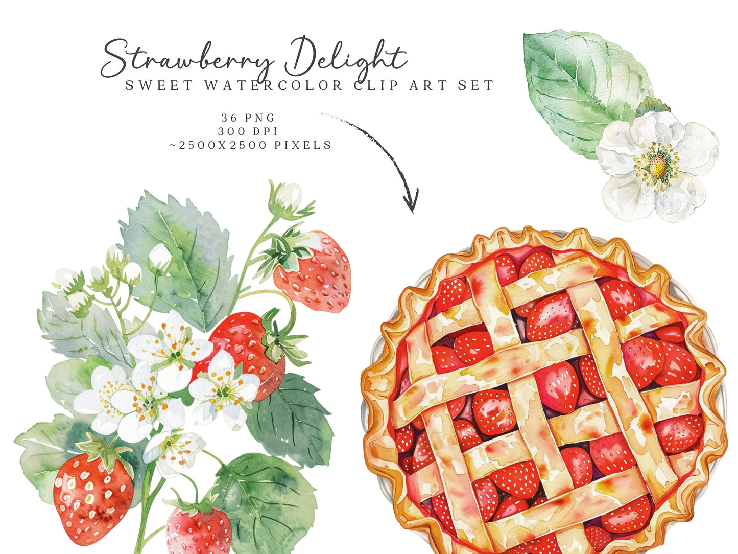 Strawberry Delight -Strawberries Clipart, Desserts, Ice Cream, Cupcake, Berries | 36 PNG