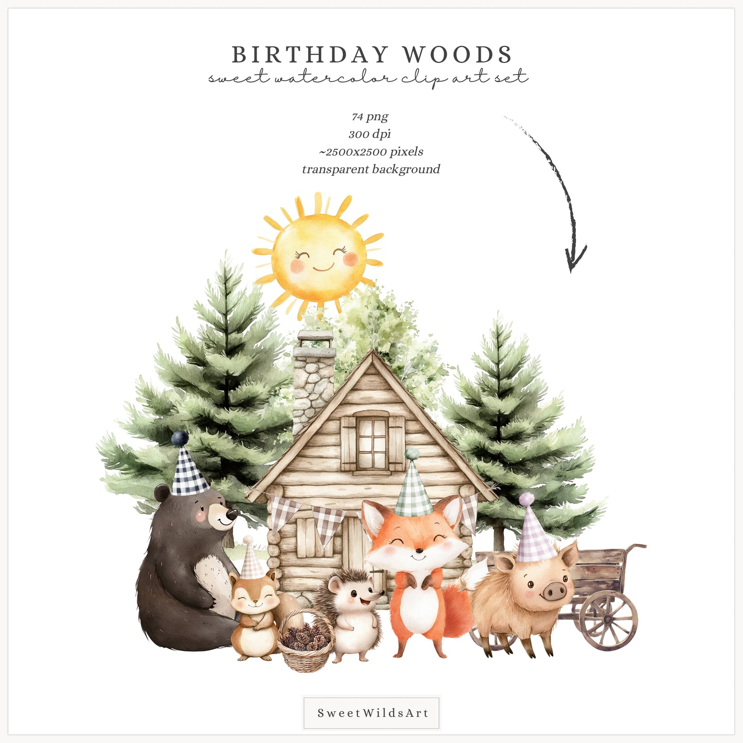 Birthday Woods - Woodland Animals, Cute Forest Party Clipart, Kids Party | 74 PNG