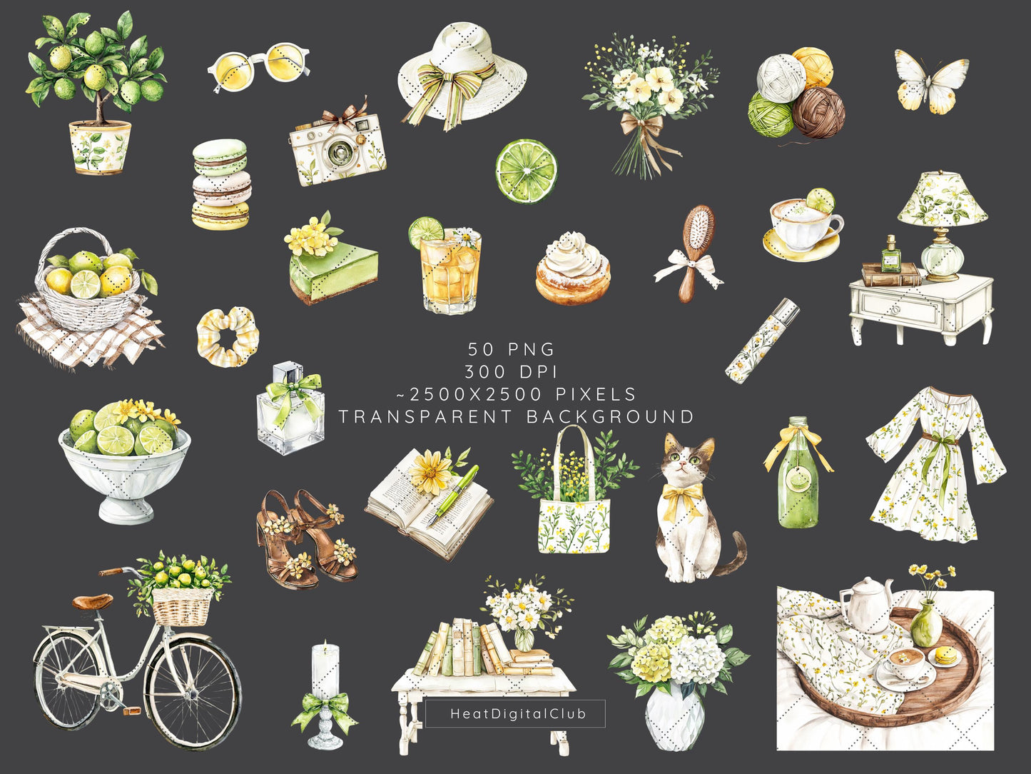 Fresh Essence - Clipart, Cozy Spring, Floral, Citrus | 50 PNG