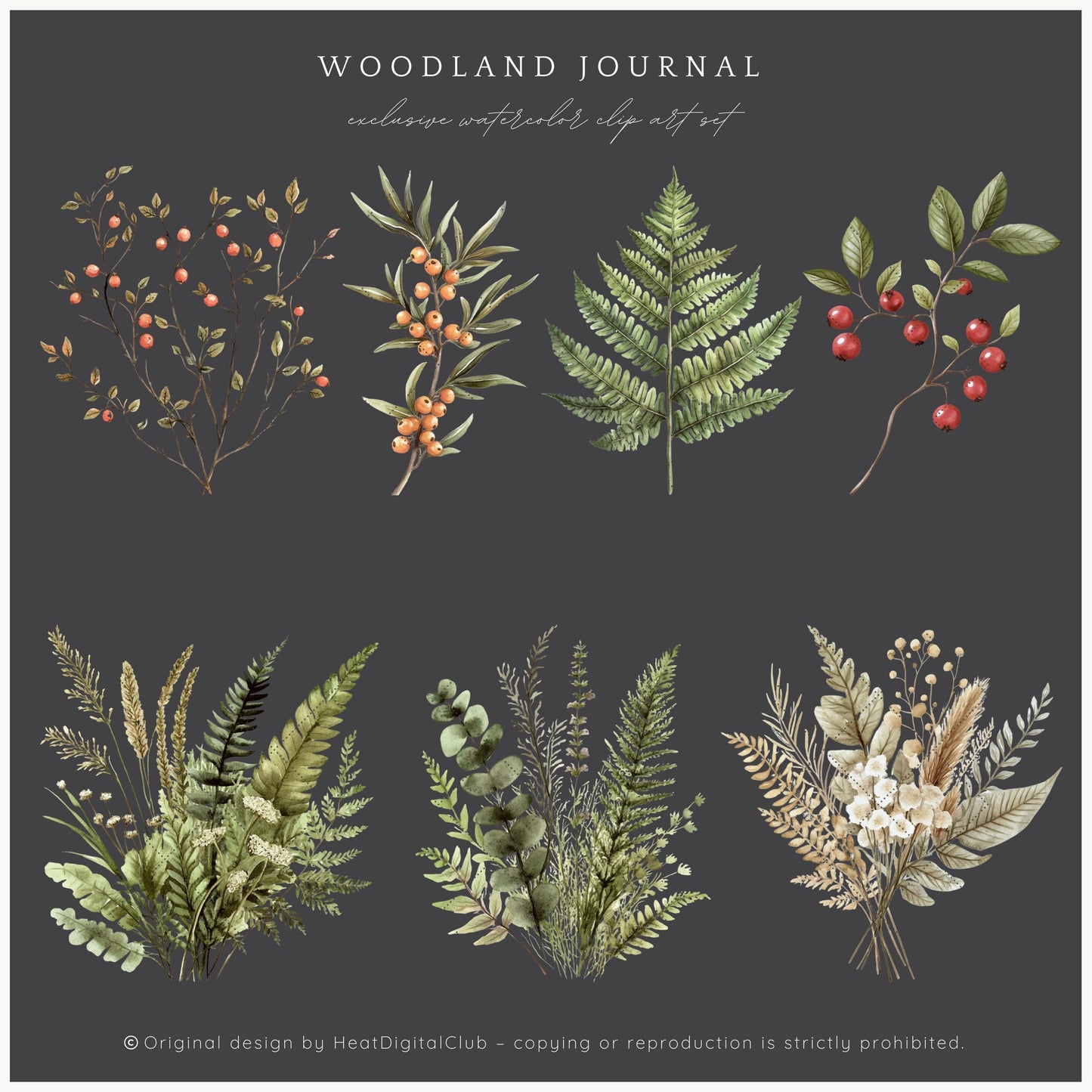 Woodland Journal - Floral Arrangements, Botanical Forest Herbs | 14 PNG