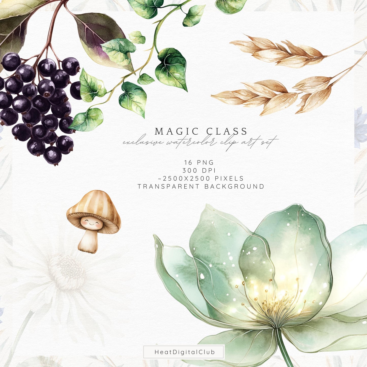 Magic Class - Floral Arrangements, Botanical Witchy Fantasy Clipart | 16 PNG