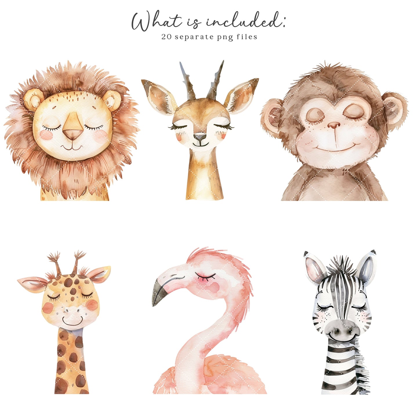Safari Portraits - Cute Animals Clipart, Baby Animals, Baby Shower, Nursery | 20 PNG