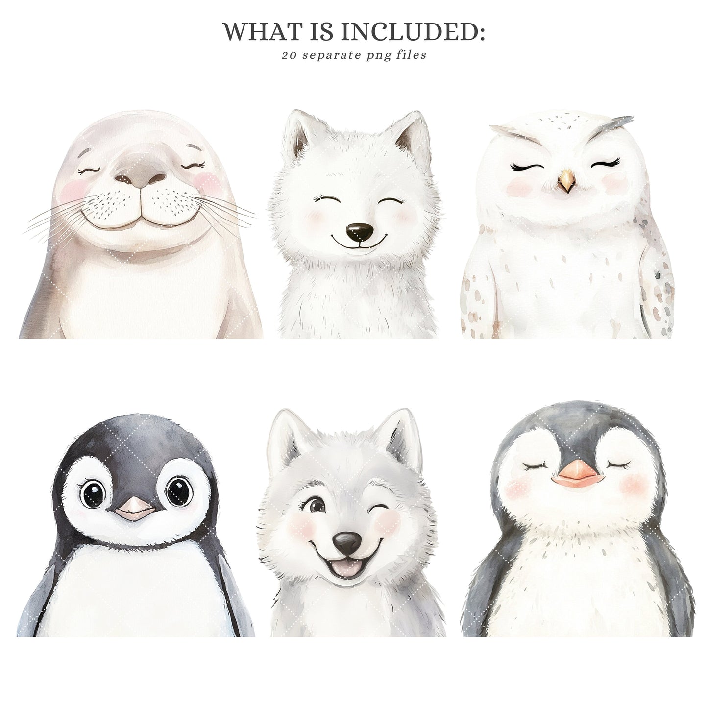 Arctic Portraits - Cute Animals Clipart, Winter Baby Shower, Polar Nursery | 20 PNG