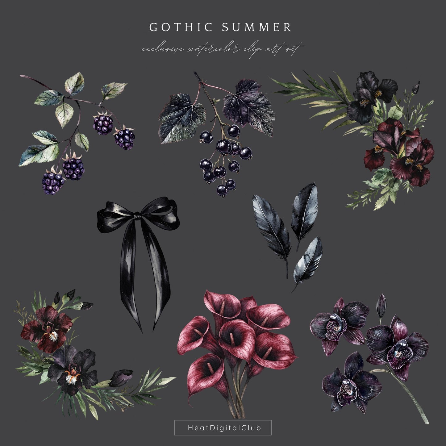 Gothic Summer - Floral Arrangements, Moody Botanical Clipart | 14 PNG