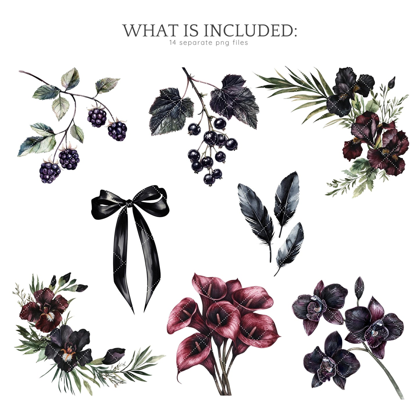 Gothic Summer - Floral Arrangements, Moody Botanical Clipart | 14 PNG