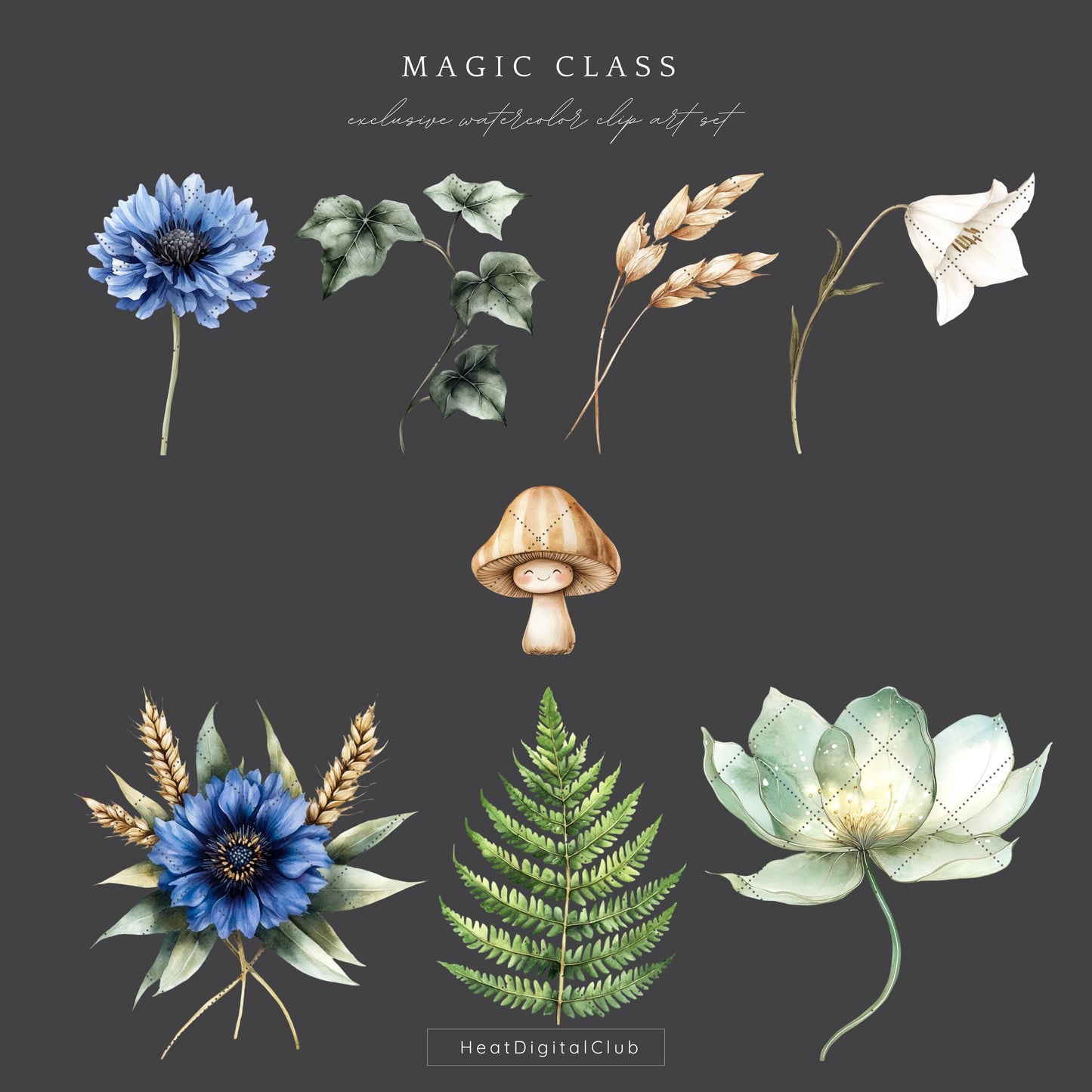 Magic Class - Floral Arrangements, Botanical Witchy Fantasy Clipart | 16 PNG