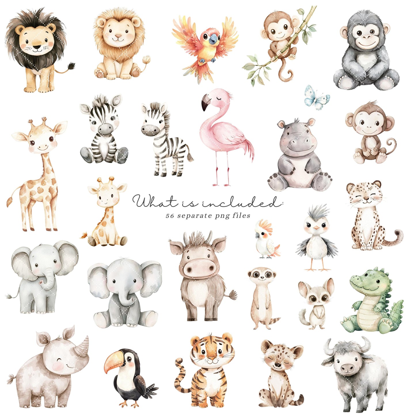 Safari Friends - Cute Animals Clipart, Baby Shower, Nursery, Boho Tropical | 56 PNG