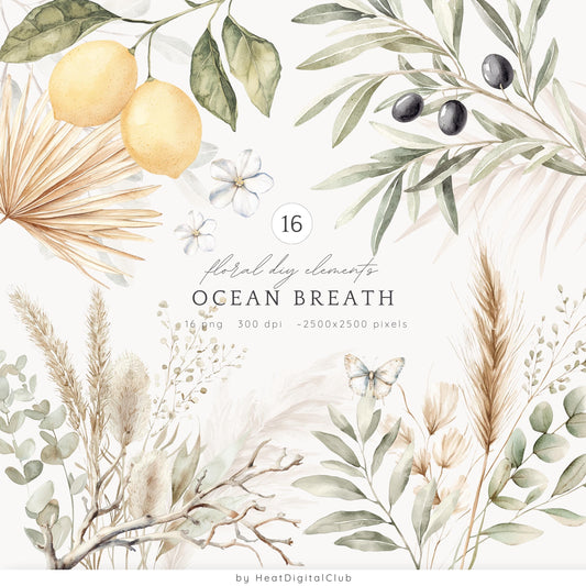 Ocean Breath - Summer Floral Arrangements, Neutral Dried Flowers | 16 PNG