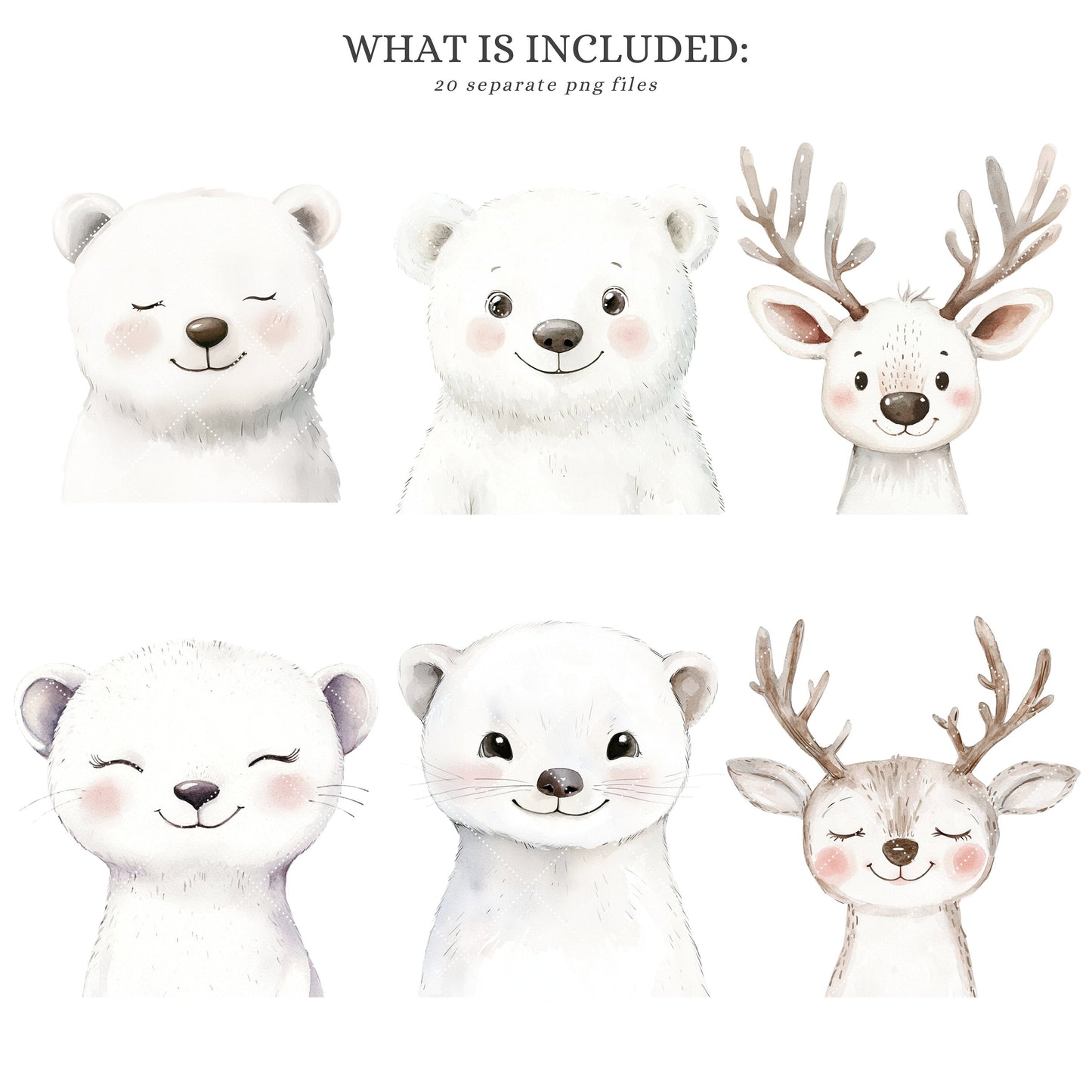Arctic Portraits - Cute Animals Clipart, Winter Baby Shower, Polar Nursery | 20 PNG