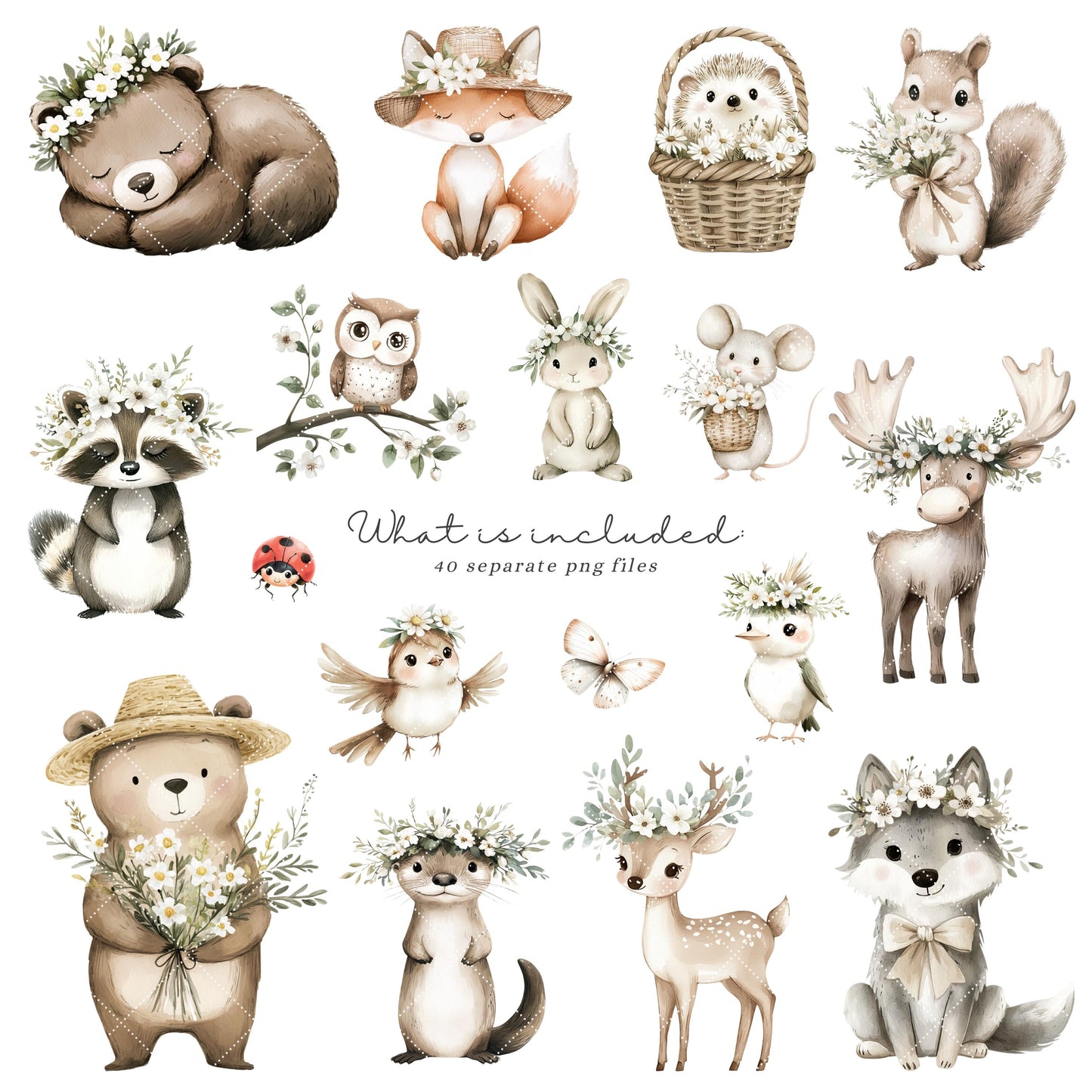 Spring Forest - Cute Woodland, Baby Animal Clipart, Baby Shower,  Nursery | 40 PNG