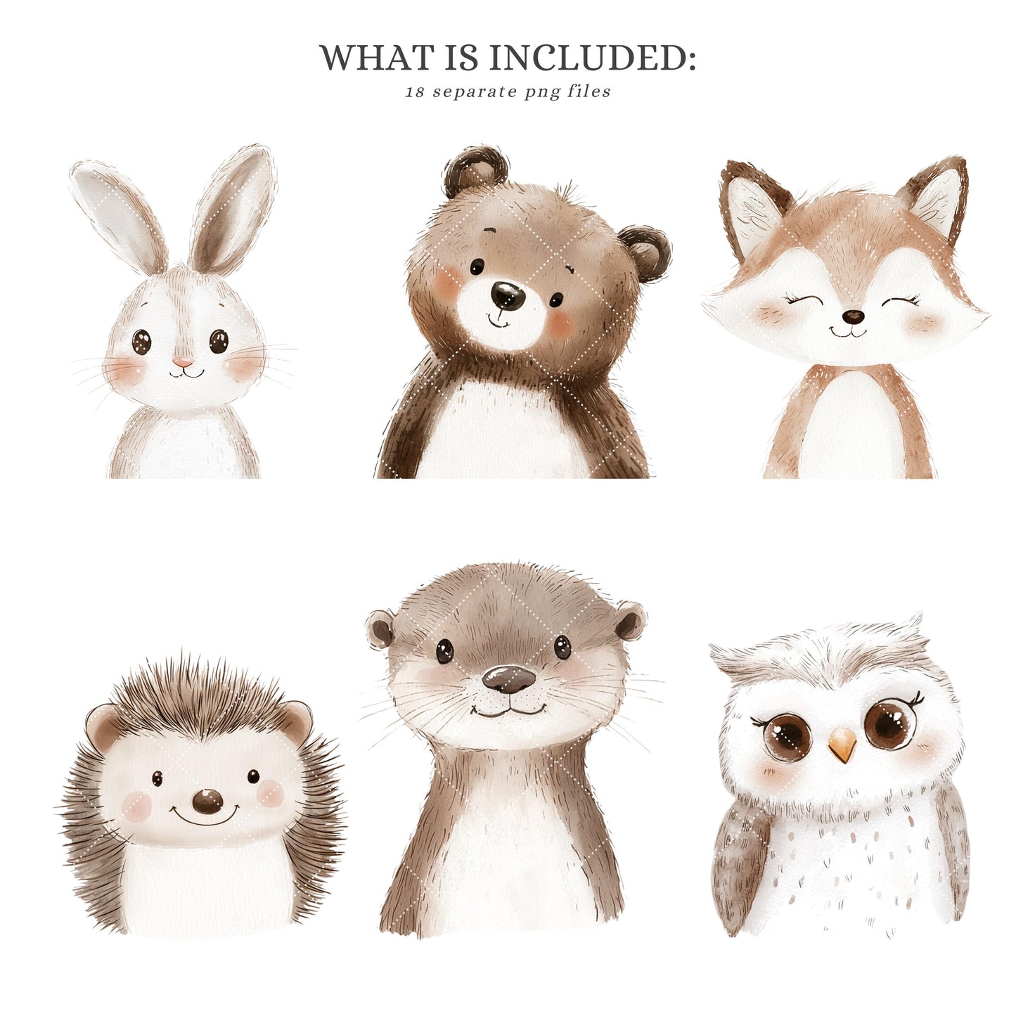 Woodland Portraits - Cute Animals Clipart, Baby Shower, Nursery, Boho Forest | 18 PNG