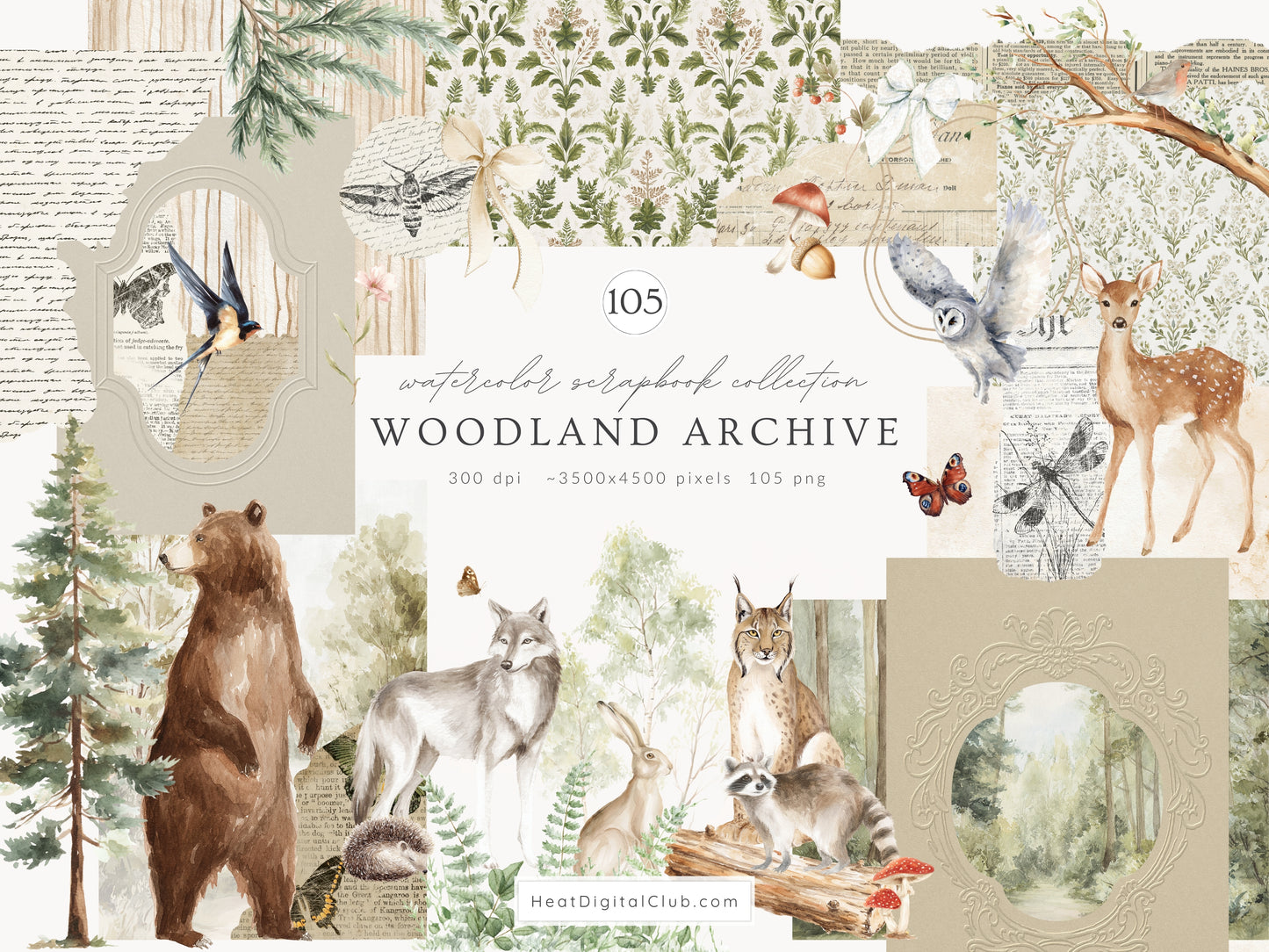 Woodland Archive - Clipart, Vintage Forest Scrapbook Set, Woodland Animals, Forest Papers | 105 PNG