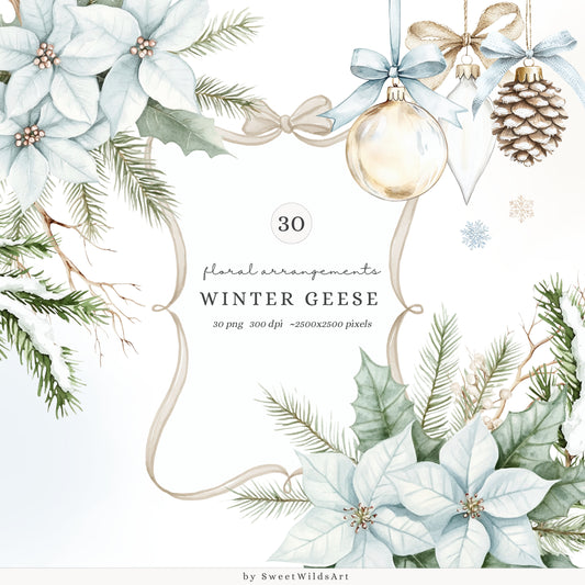 Winter Geese - Winter Floral Arrangements, Poinsettia, Fir Branches, Christmas Ornaments | 30 PNG