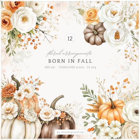 Born In Fall - Floral Arrangements Clipart, Autumn, Pumpkins, Soft Orange & Brown | 12 PNG