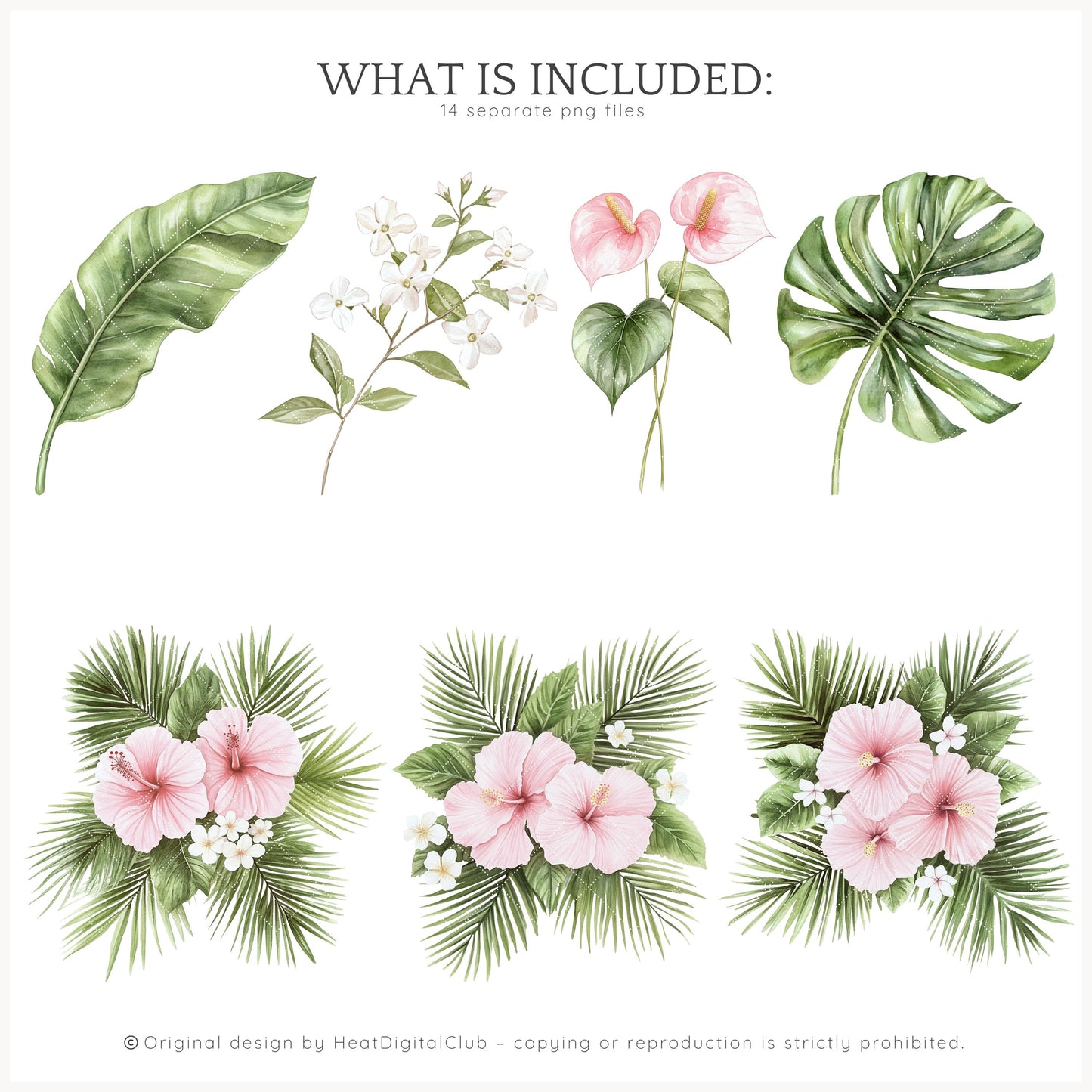 Palm Club - Floral Arrangements Clipart, Palm Leaves | 14 PNG