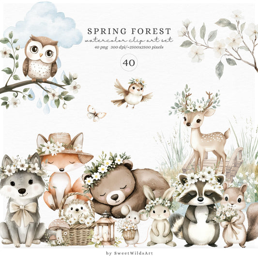 Spring Forest - Cute Woodland, Baby Animal Clipart, Baby Shower,  Nursery | 40 PNG