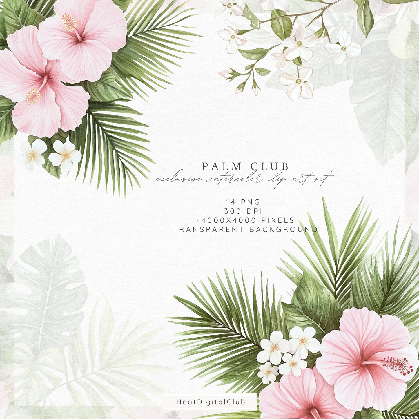 Palm Club - Floral Arrangements Clipart, Palm Leaves | 14 PNG