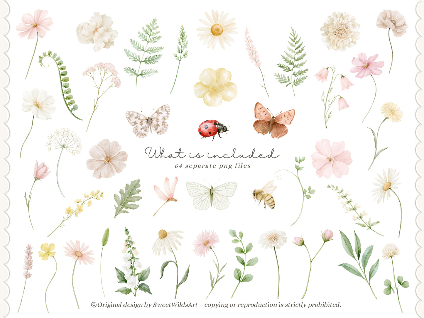 Sweet Wilds - Wildflowers Clipart, Meadow Flowers, Coquette Floral, Pink Ivory Flowers, Baby Shower | 70 PNG/JPEG