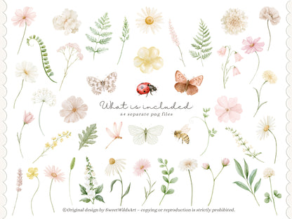 Sweet Wilds - Wildflowers Clipart, Meadow Flowers, Coquette Floral, Pink Ivory Flowers, Baby Shower | 70 PNG/JPEG