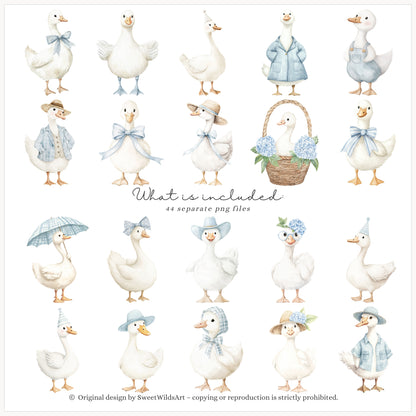 Boy Goose - Clipart, Blue Silly Goose, Coquette Nursery, Birthday | 44 PNG