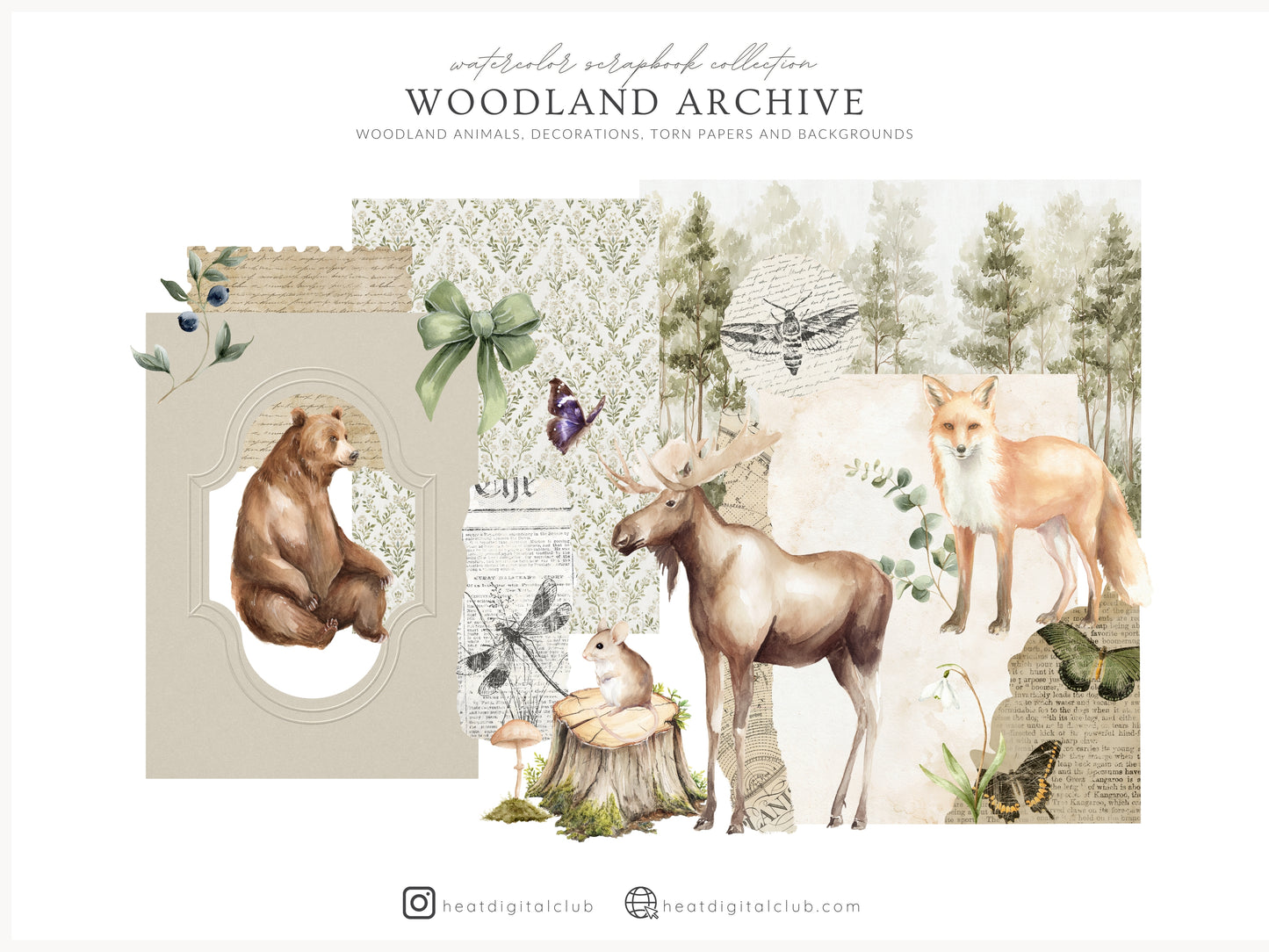 Woodland Archive - Clipart, Vintage Forest Scrapbook Set, Woodland Animals, Forest Papers | 105 PNG