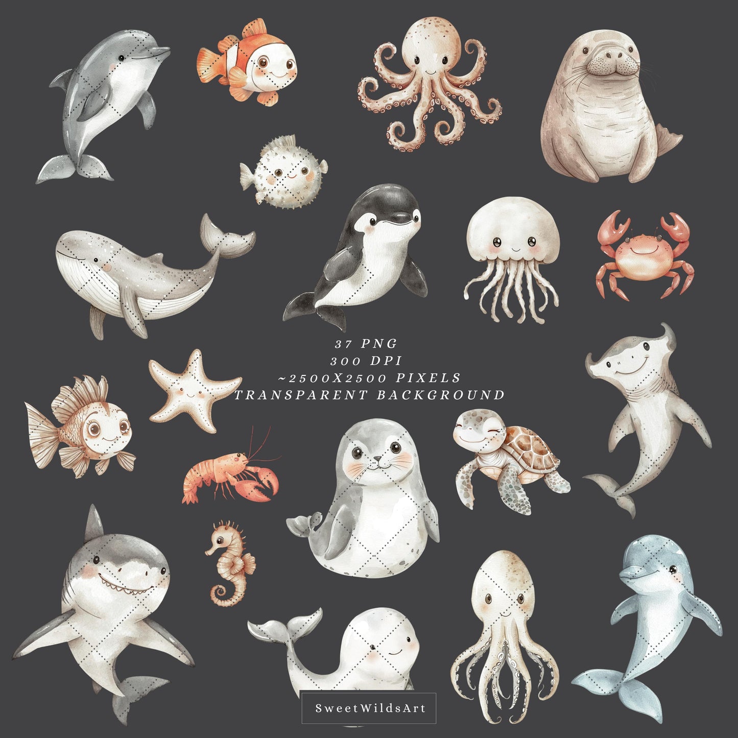 Sea Friends - Cute Sea Animals Clipart, Ocean, Sealife, Underwater, Nursery  | 37 PNG