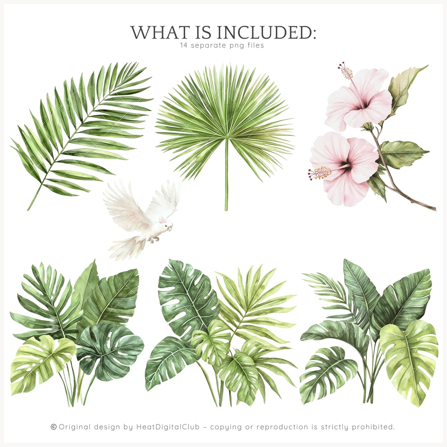 Palm Club - Floral Arrangements Clipart, Palm Leaves | 14 PNG