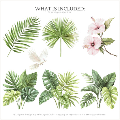 Palm Club - Floral Arrangements Clipart, Palm Leaves | 14 PNG