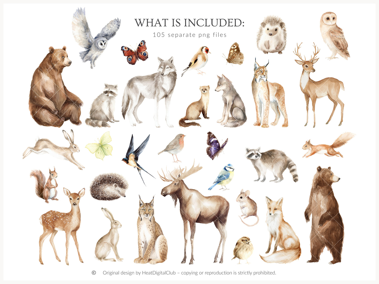 Woodland Archive - Clipart, Vintage Forest Scrapbook Set, Woodland Animals, Forest Papers | 105 PNG