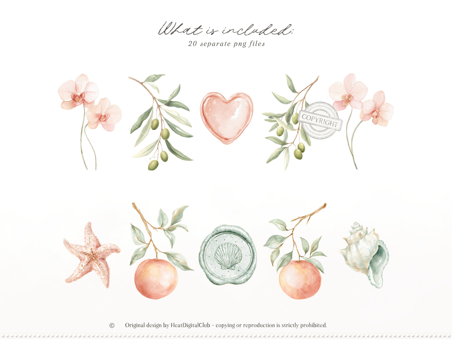 Grapefruit Breeze - Floral Arrangements, Summer Flowers Clipart, Tropical Florals, Citrus | 20 PNG