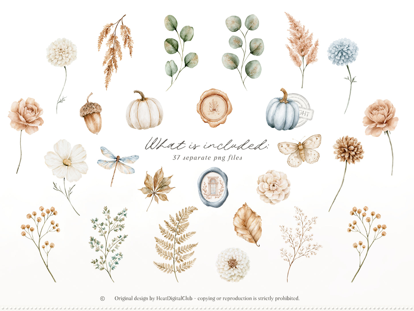 Gentle Fall - Floral Arrangements Clipart, Neutral Floral Autumn, Beige Flowers, Fall Botanical Elements, Pumpkins | 37 PNG