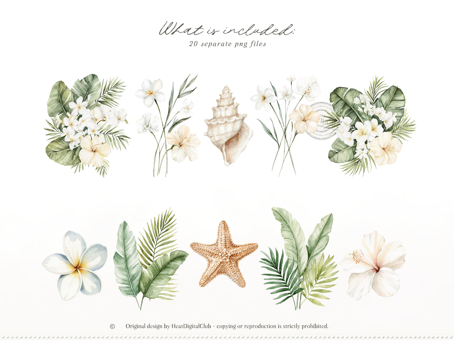 Coconut Dune - Tropical Floral Arrangements Clipart, Palm Leaves , White Beach Flowers | 20 PNG
