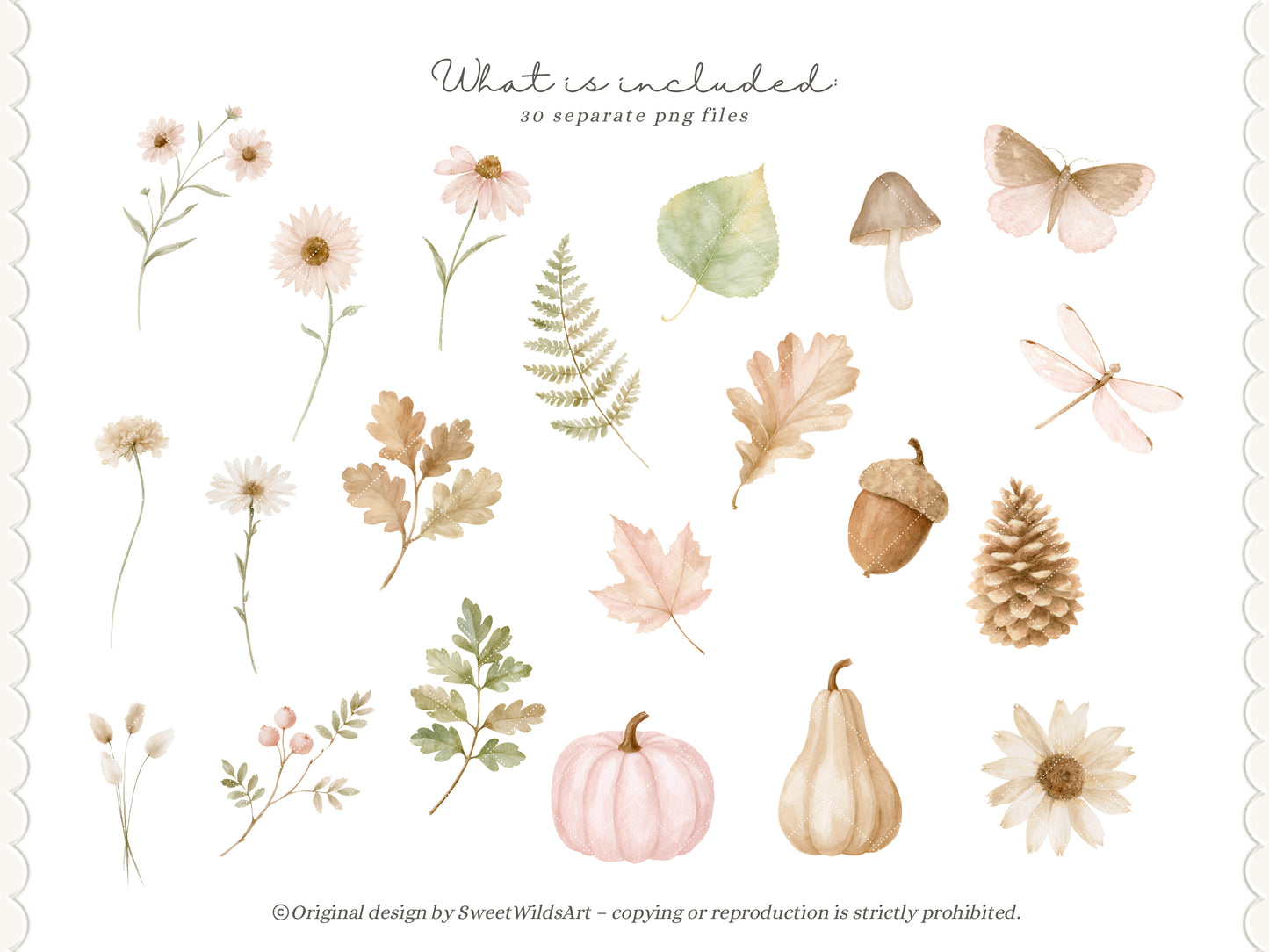Gentle October - Watercolor Fall Floral Arrangements, Autumn Botanicals Collection | 30 PNG