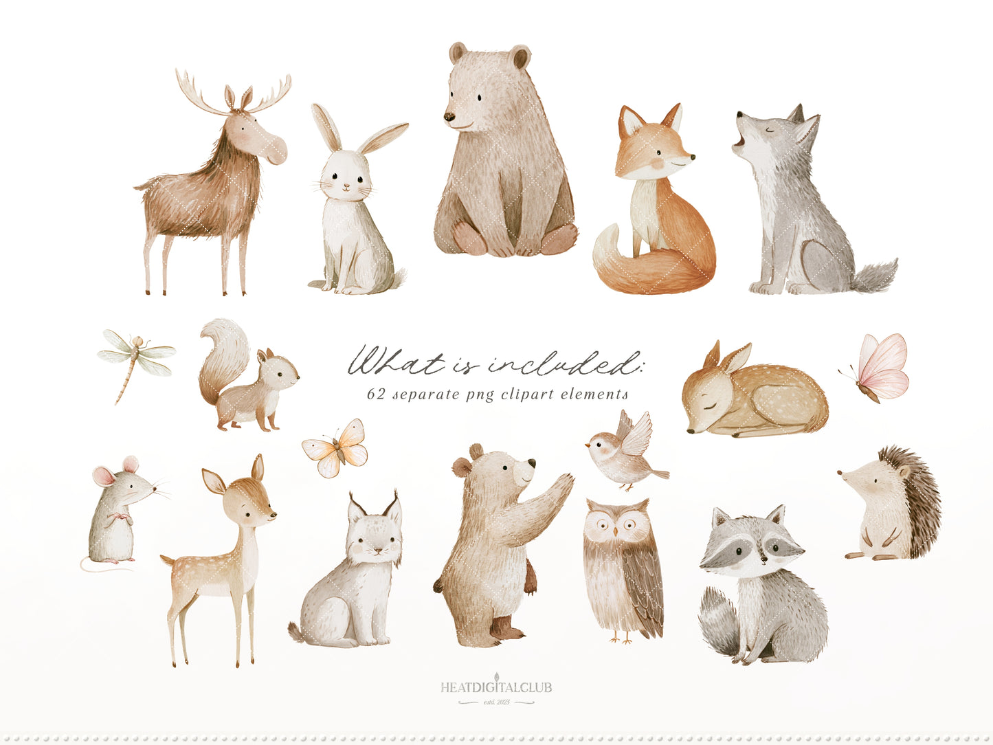 Little Forest - Watercolor Woodland Clipart & Seamless Patterns Bundle, Kids Nursery Graphics | 67 PNG/JPEG