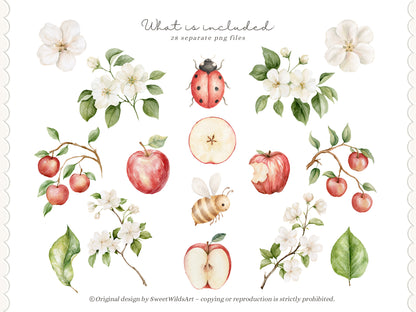 Apple Classics - Floral Clipart, Apple Blossom, Orchard Florals, Apple Branches, Nursery Flower | 28 PNG