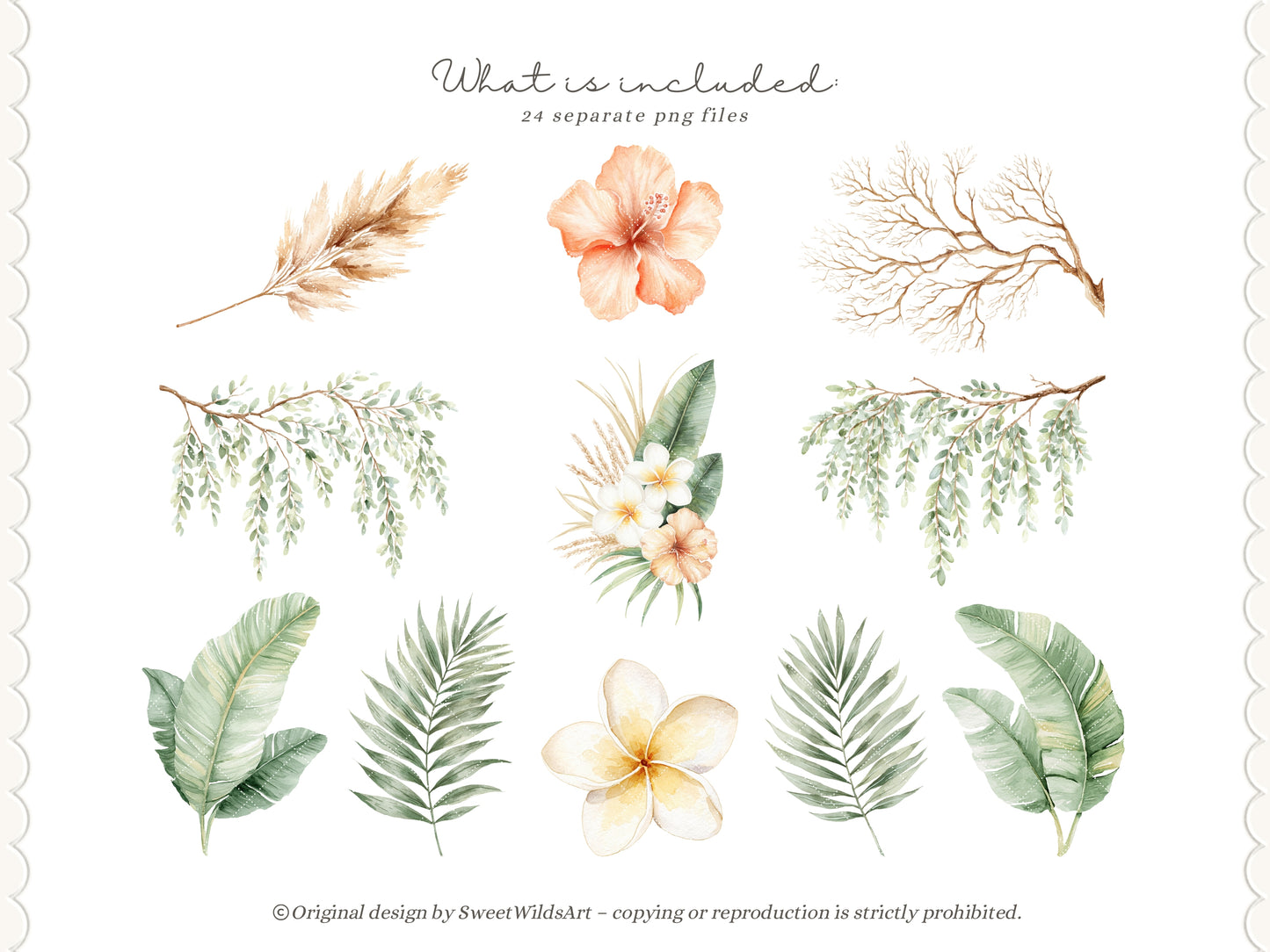 Safari Classics - Floral Arrangements Clipart, Tropical Flowers, Plumeria Hibiscus Leaves, Jungle | 24 PNG