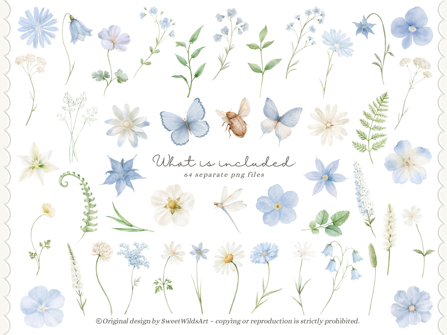 Sweet Wilds - Flowers Clipart, Meadow Flowers, Light Blue Floral, Wildflower Baby Shower | 70 PNG/JPEG