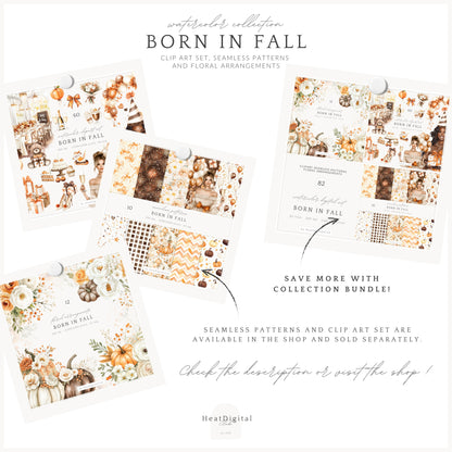 Born In Fall - Floral Arrangements Clipart, Autumn, Pumpkins, Soft Orange & Brown | 12 PNG
