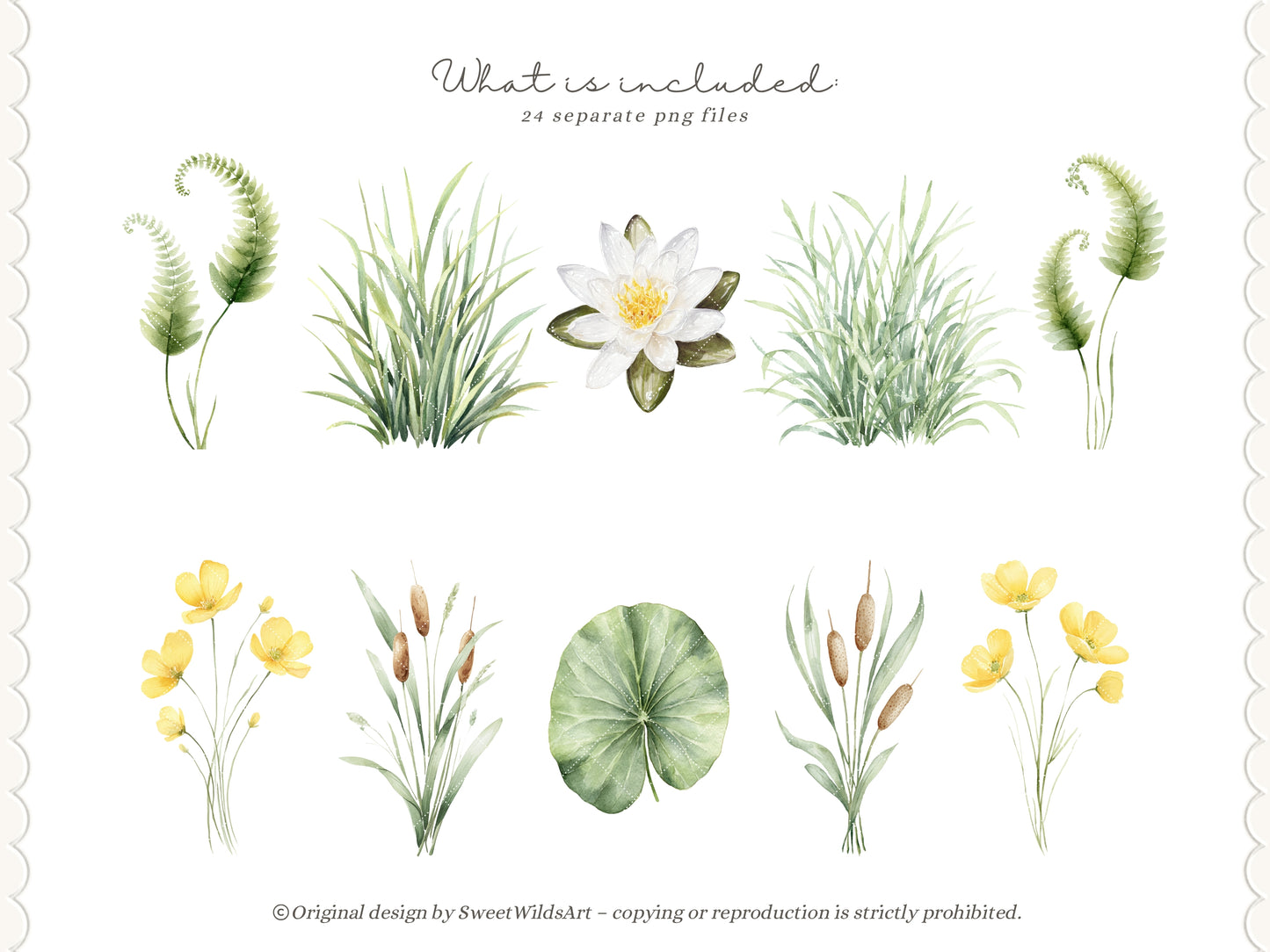 River Meadow - Floral Arrangements Clipart, Meadow Flowers, Water Lily, Botanical, Spring Summer | 24 PNG